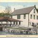 Fish Hatchery